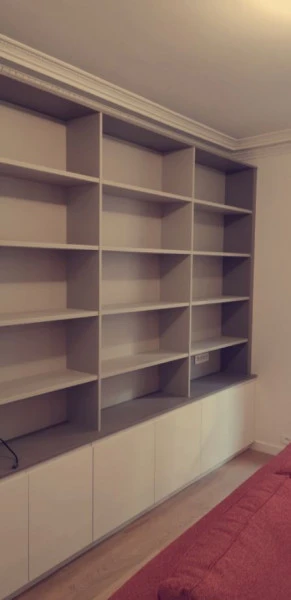 Bibliothèque dans un séjour à Paris